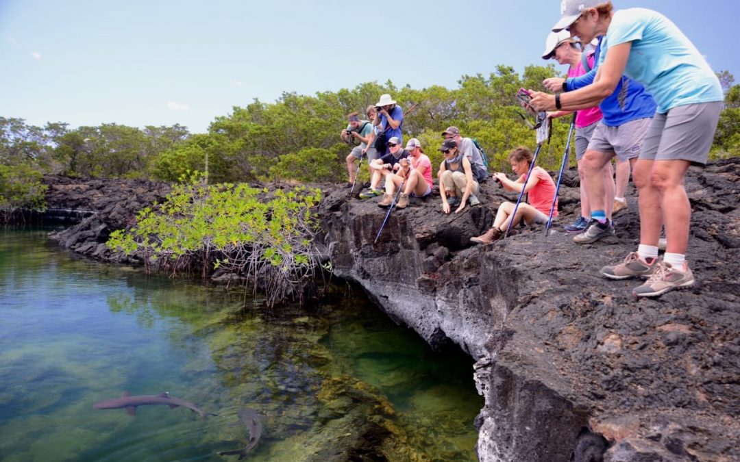 Weather Galapagos last month