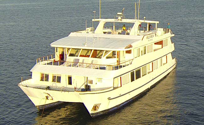 millennium catamaran